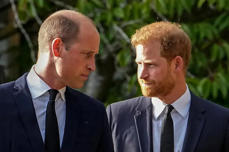 Prince Harry Clash With Prince William Over Invading His Territory in the US
