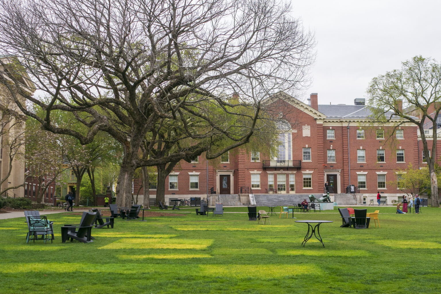Brown University Acceptance Rate 2026: Admission Stats & Tips