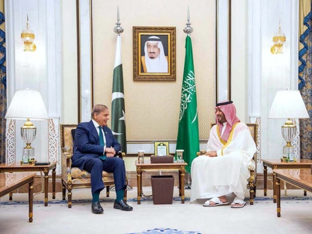 Saudi Crown Prince Praises Pakistan's Peace Diplomacy in Call with PM Shehbaz