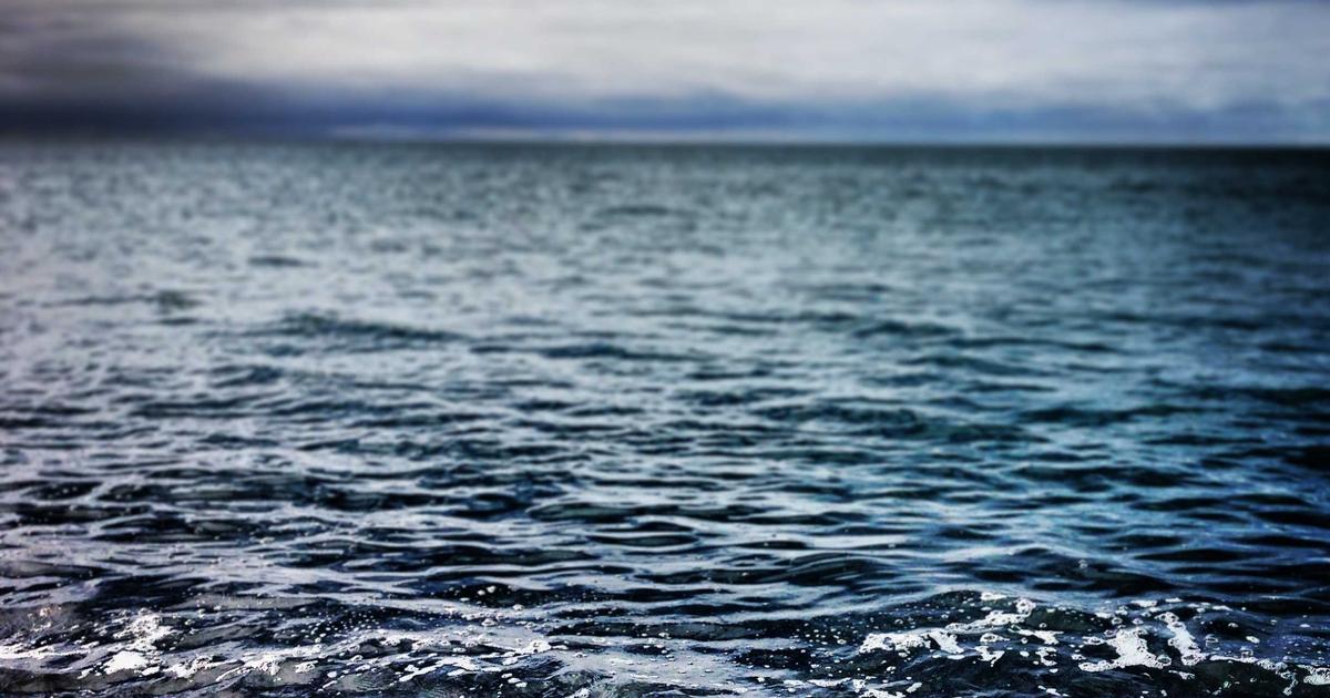 northeastern university accept 130