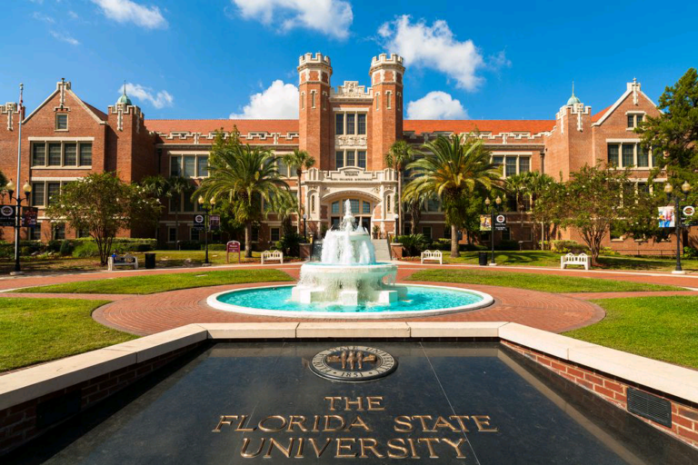 UF Acceptance Rate 2026: Your Guide to Getting In